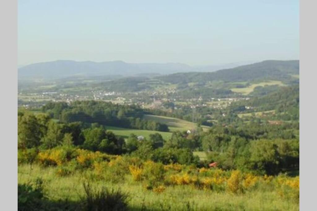 Gite De Moyenne Montagne Anould Экстерьер фото